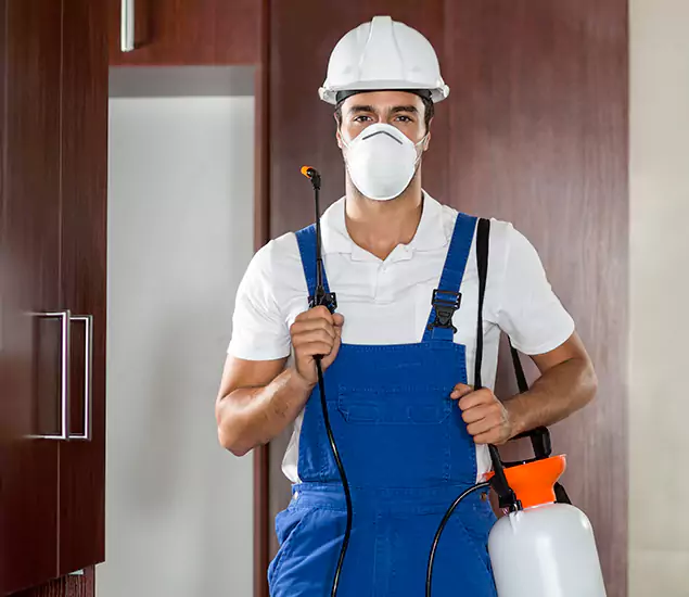 Trusted Exterminator and Pest Exterminator Professionals in Kennesaw, GA
