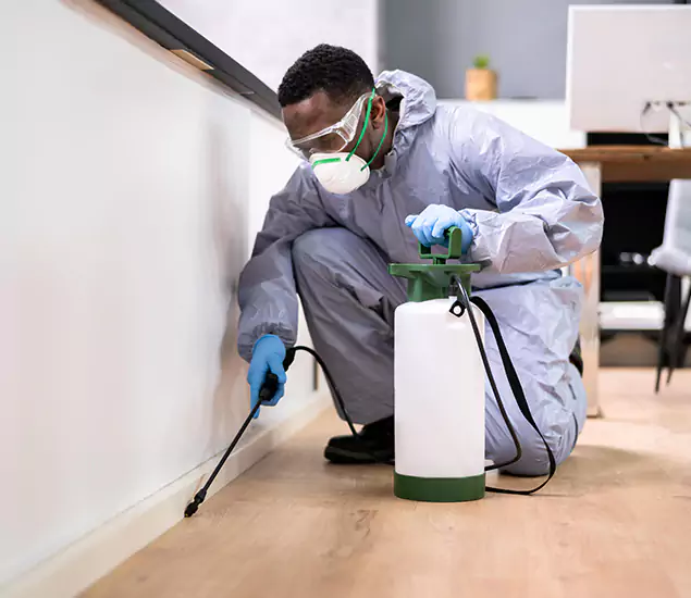 Leading Industrial Pest Control Experts Serving Kennesaw, GA