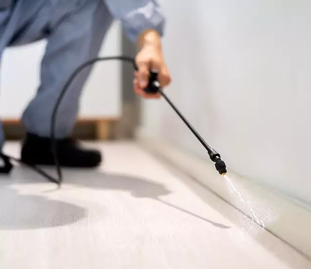 About Our Liquid Termite Treatment Experts in Kennesaw, GA