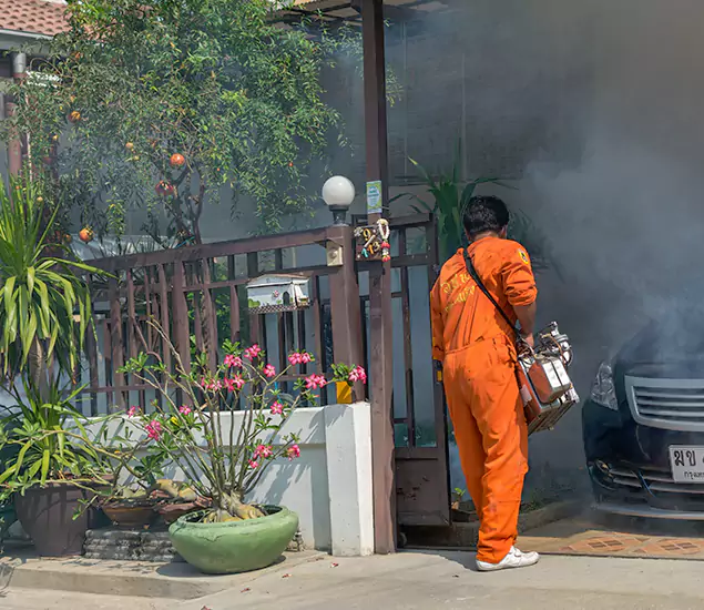 Your Proven Mosquito Fogging Company in Kennesaw, GA