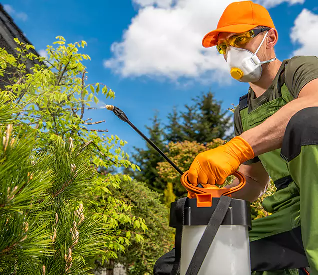 Your Best Bug Spray for Home Team in Kennesaw, GA