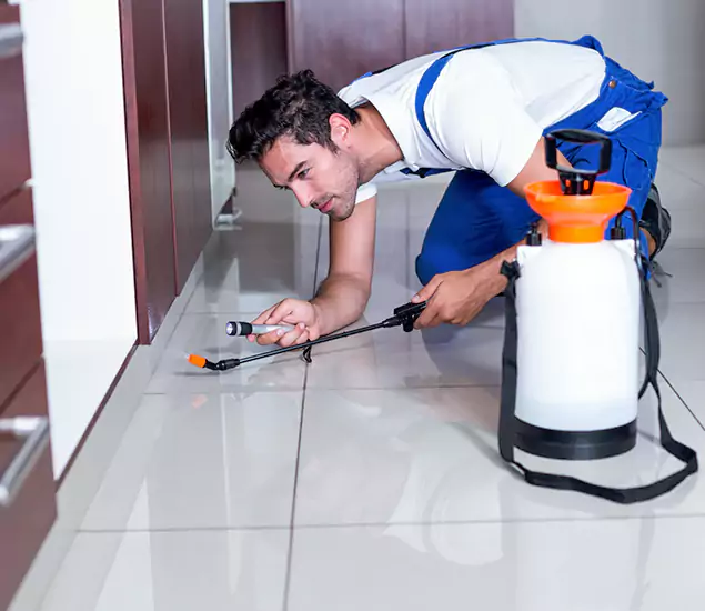 Reliable Professional Mouse Removal: Your Best Mouse Control Company in Kennesaw, GA