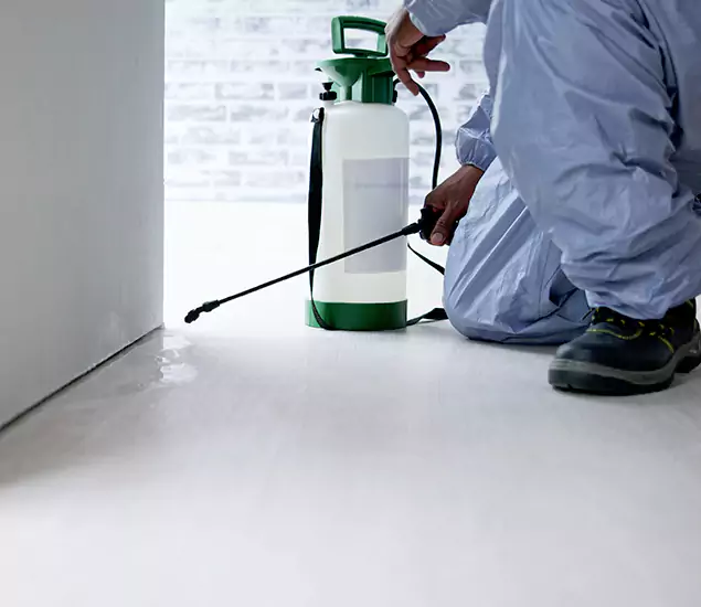 Affordable Pest Control Experts in Kennesaw, GA