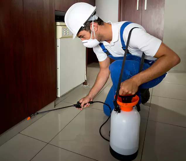Advanced Termite Pre Treatment Experts in Kennesaw, GA