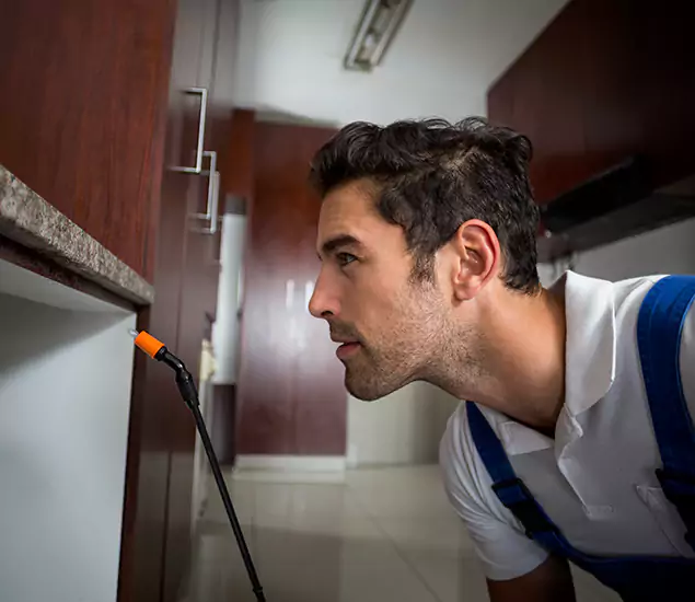 Expert Rodent in Attic Removal: Your Proven Pest Specialists in Kennesaw, GA