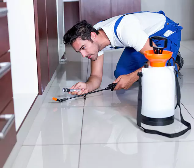 Advanced Slab Termite Treatment Experts You Can Trust&nbsp;in Kennesaw, GA