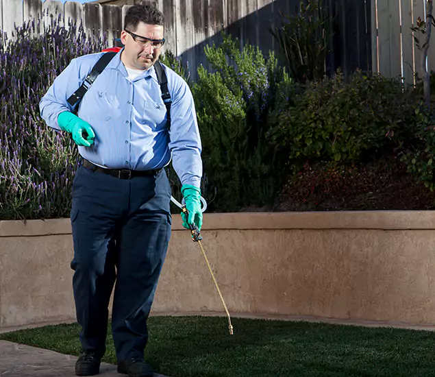 Reliable Termite Barrier Treatment Experts in Kennesaw, GA