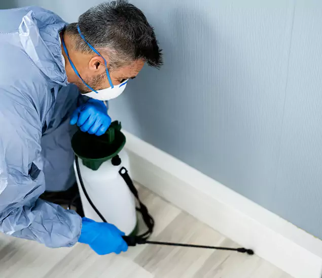 Reliable Termite Cost Experts in Kennesaw, GA