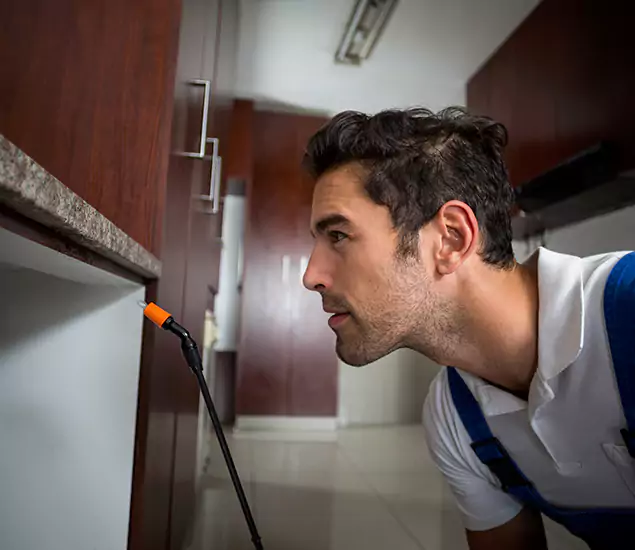 Termite Inspection Cost Experts You Can Trust in Kennesaw, GA