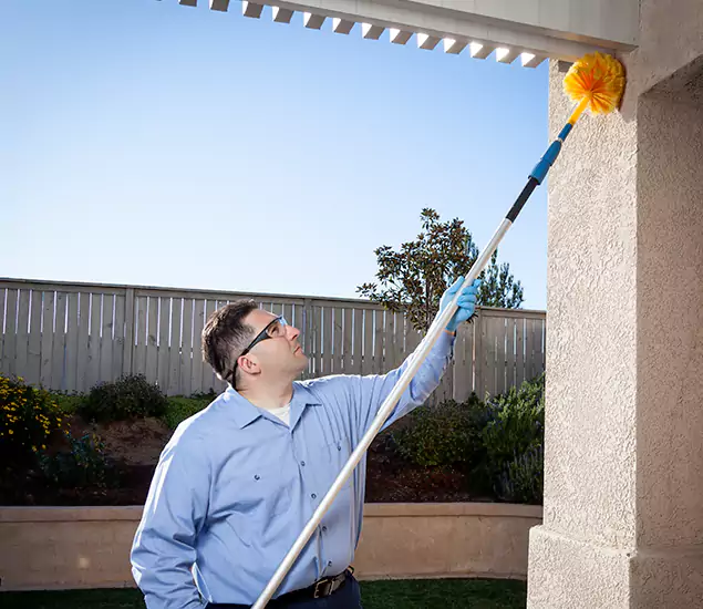 Your Trusted Wasp Removal Company in Kennesaw, GA