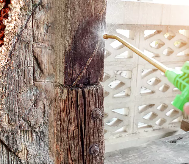 About Wood Termite Treatment Services in Kennesaw, GA