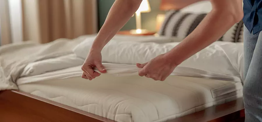 Bed Bug Extermination Services in Kennesaw