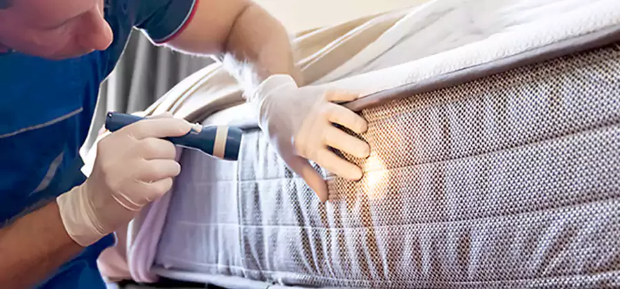 Residential Bed Bug Treatment Cost in Kennesaw