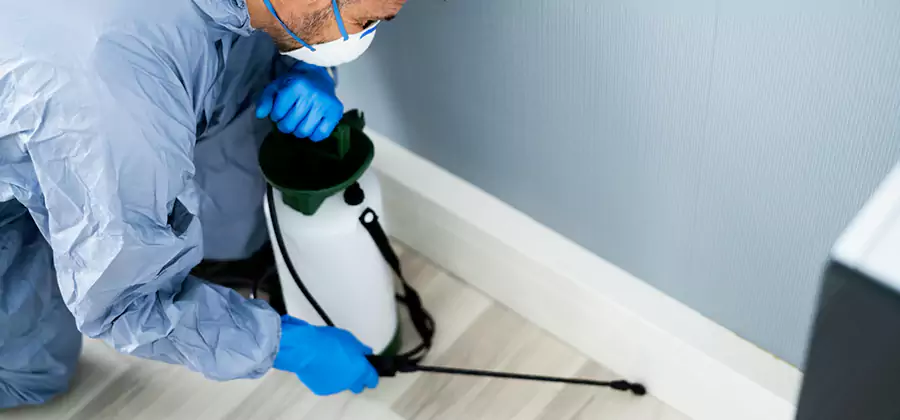 Fumigate Apartment Roaches in Kennesaw