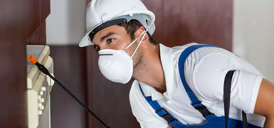 Injection Foam Treatment for Drywood Termites in Kennesaw