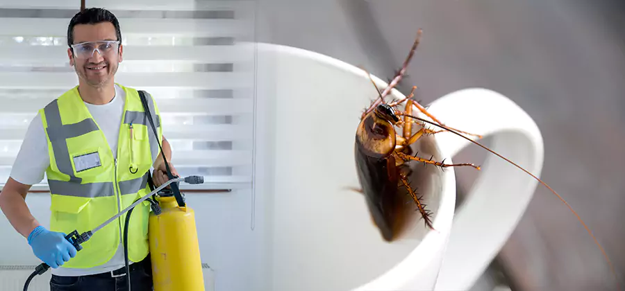 German Roach Infestation Treatment Kennesaw