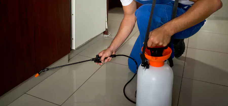 Indoor Mosquito Treatment in Kennesaw