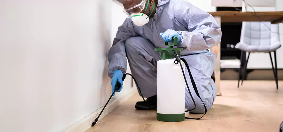Long Lasting Mosquito Treatment in Kennesaw