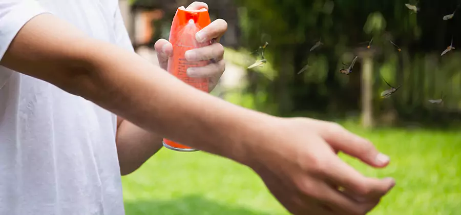 Mosquito and Tick Control Services in Kennesaw