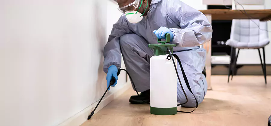 No Tent Termite Extermination With Electric Tool in Kennesaw