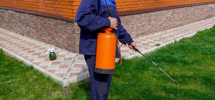 Non Toxic Termite Treatment in Kennesaw