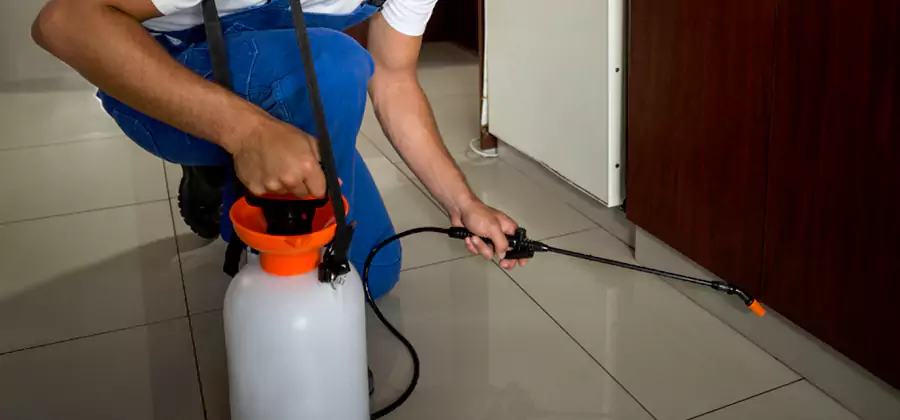 One Time Termite Control in Kennesaw