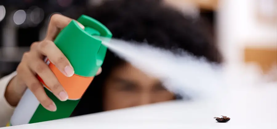 Child Safe Bed Bug Treatment in Kennesaw