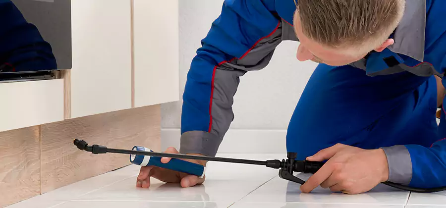 Moisture Treatment For Termite Control Service in Kennesaw
