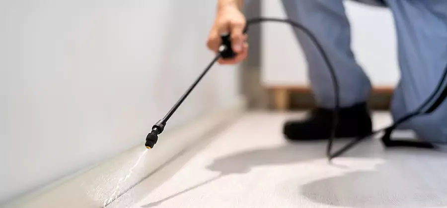 Direct Termite Injection Treatment in Kennesaw