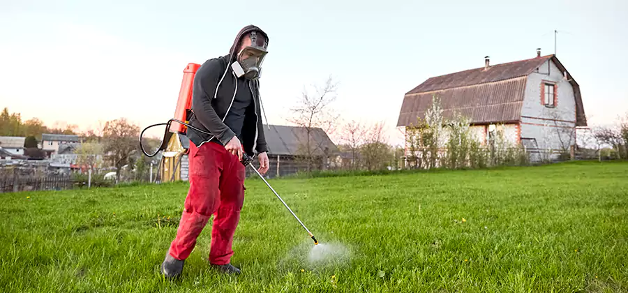 Flea and Tick Pest Control in Kennesaw