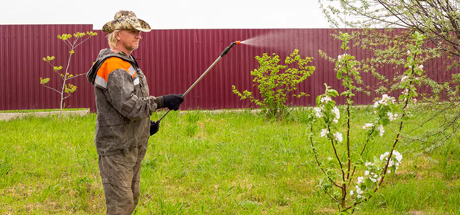 Flea and Tick Spray for Yard in Kennesaw