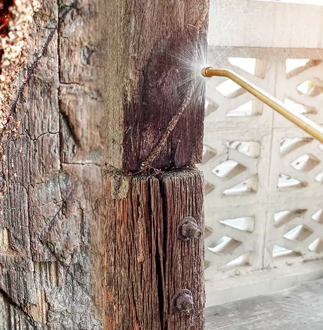 Why Choose Kennesaw Pest Control Pro for Attic Termite Treatment in Kennesaw, GA?