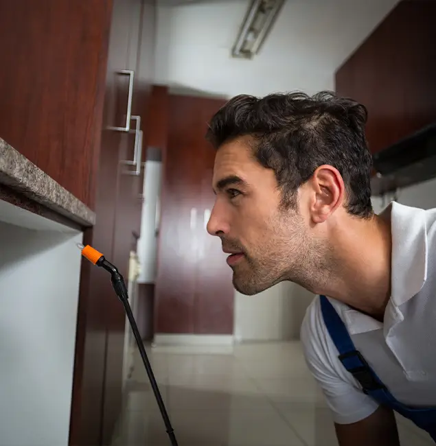 Why Choose Kennesaw Pest Control Pro for Bed Bug Removal Cost in Kennesaw, GA?