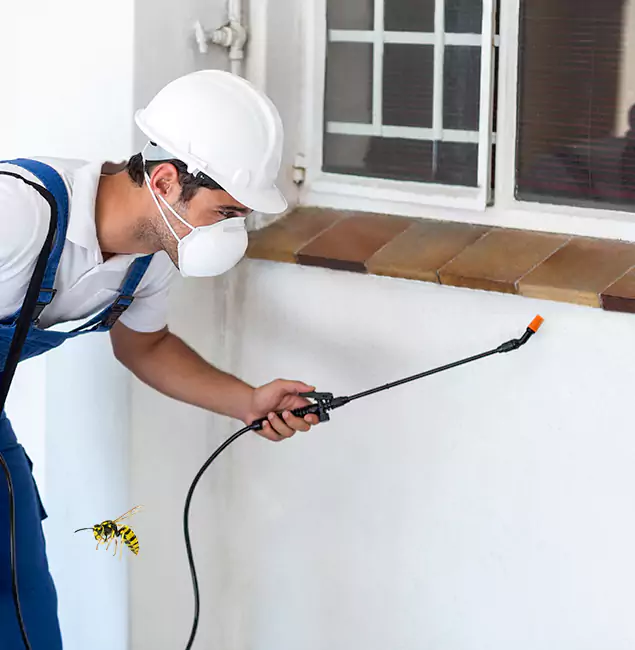 Why Kennesaw Property Owners Choose Kennesaw Pest Control Pro for Bee Nest Removal?