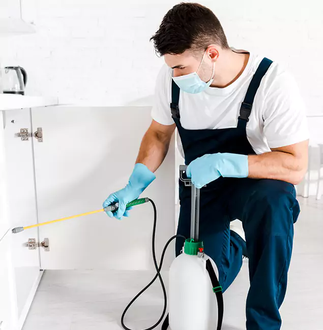 Why Choose Kennesaw Pest Control Pro for Emergency Pest Control in Kennesaw?