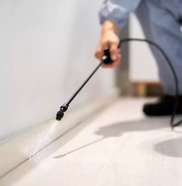 Why Choose Kennesaw Pest Control Pro for Termite Treatment in Kennesaw, GA?