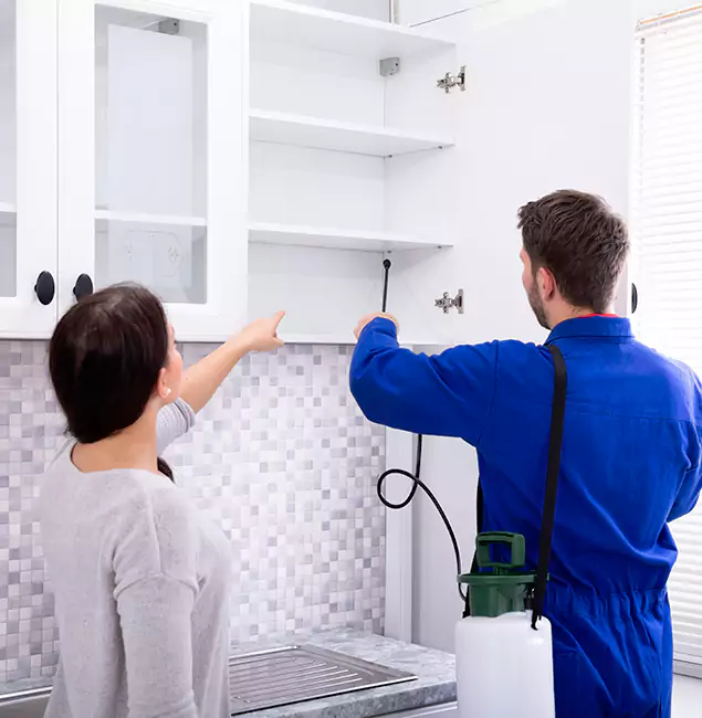 Why Kennesaw Property Owners Choose Kennesaw Pest Control Pro for Ground Bee Removal?