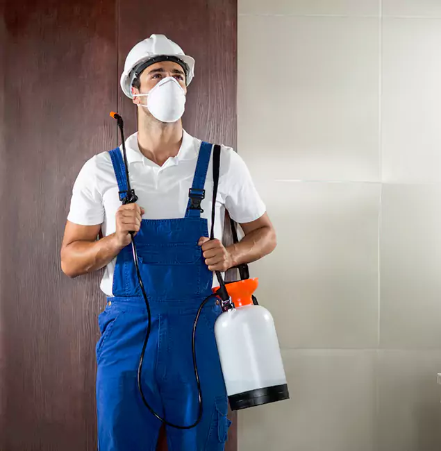 Why Choose Us for Heat Treatment for Termites in Kennesaw, GA?