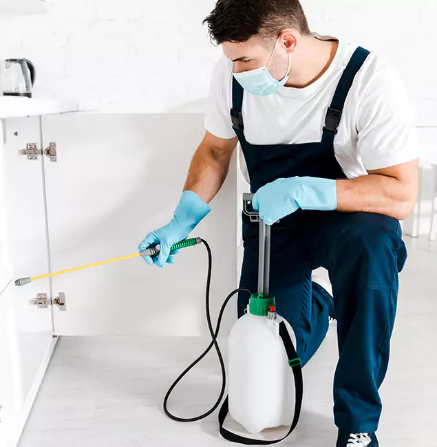 Why Choose Kennesaw Pest Control Pro for Indoor Pest Control in Kennesaw, GA?