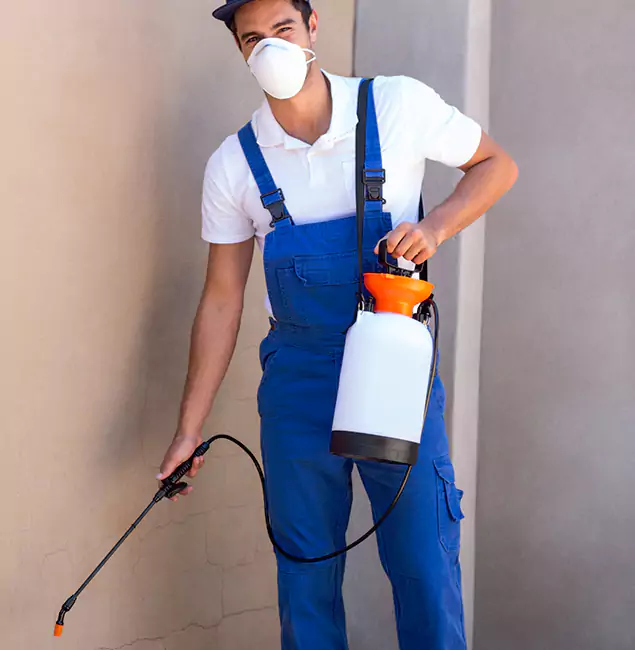 What Makes Kennesaw Pest Control Pro the Right Choice in Kennesaw, GA?