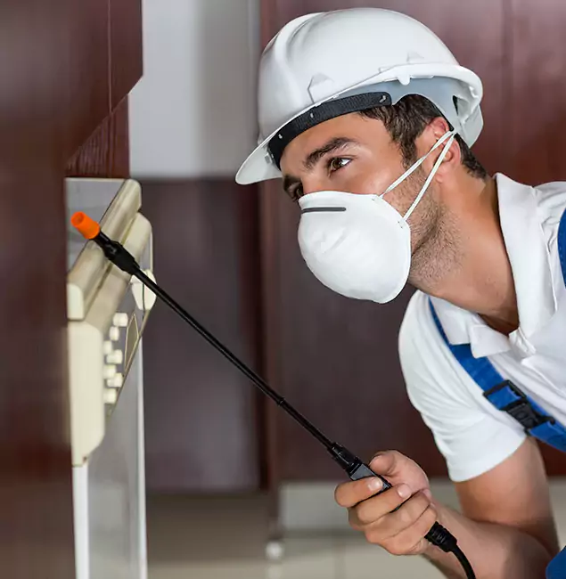 Why Kennesaw Homeowners Rely on Kennesaw Pest Control Pro for Tick Treatment?