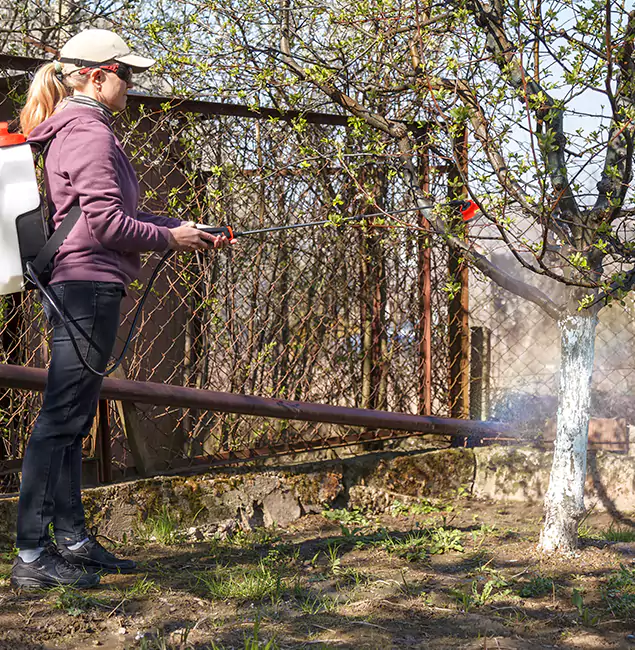 Why Kennesaw Homeowners Choose Kennesaw Pest Control Pro for Mosquito Abatement?