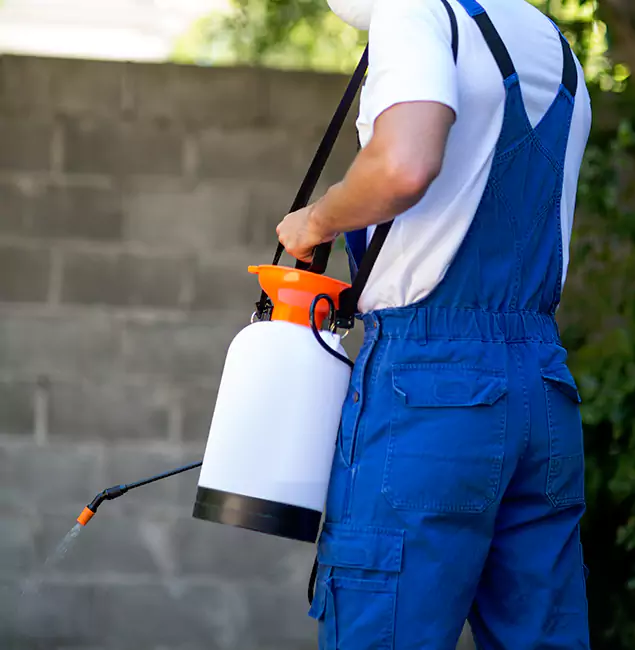 Why Kennesaw Homeowners Rely on Kennesaw Pest Control Pro for Mosquito Control?