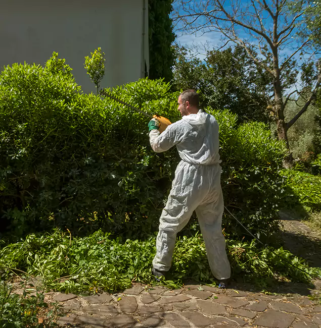 Why Kennesaw Pest Control Pro Leads Mosquito Control in Kennesaw, GA?