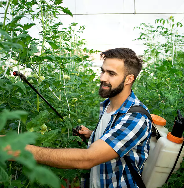 Why Kennesaw Homeowners Choose Kennesaw Pest Control Pro for Mosquito Spraying?