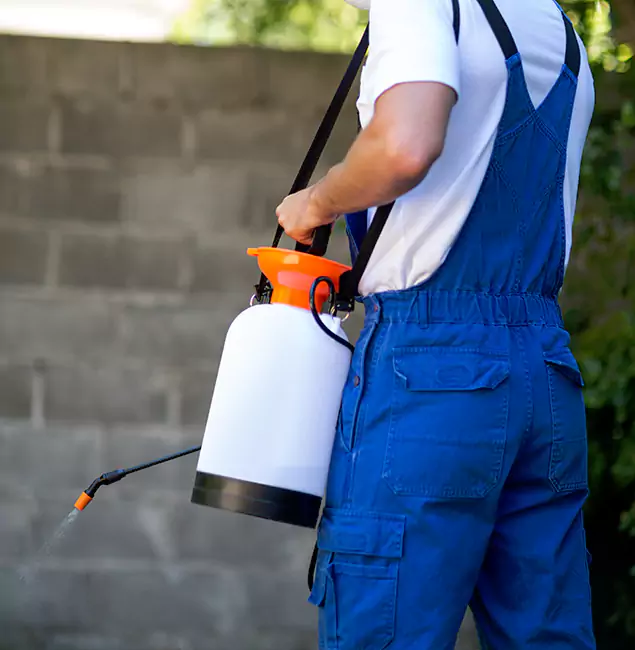 Why Kennesaw Pest Control Pro Delivers the Best Mosquito Control in Kennesaw, GA?