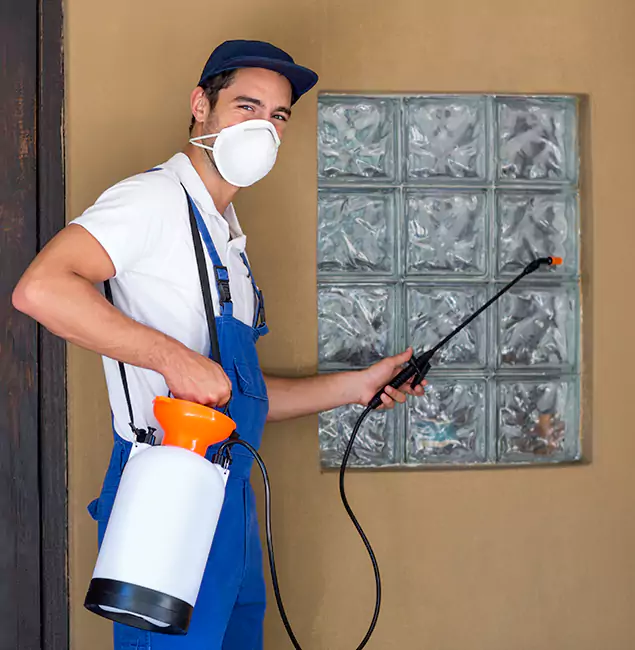 Why Kennesaw Pest Control Pro Provides the Best Mosquito Control for Yard Properties in Kennesaw, GA?