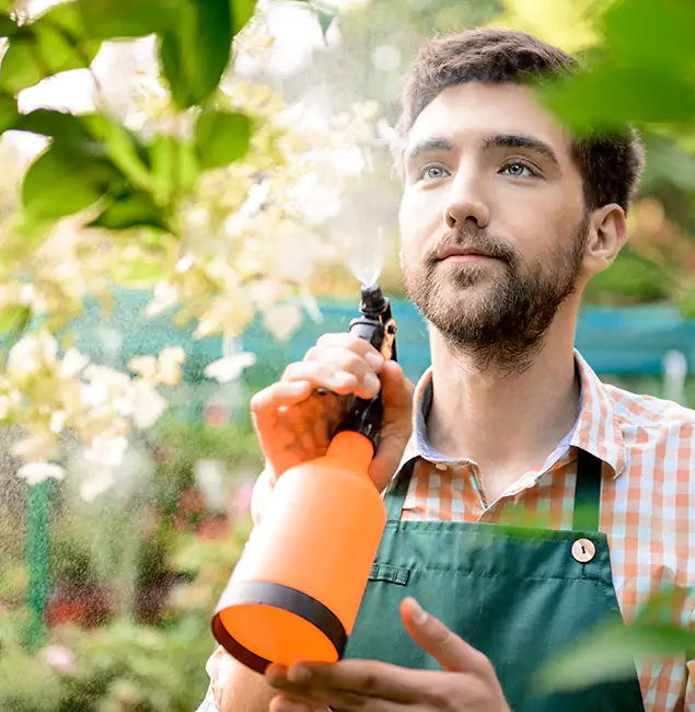 Why Kennesaw Homeowners Call Kennesaw Pest Control Pro for Mosquitoes in House?
