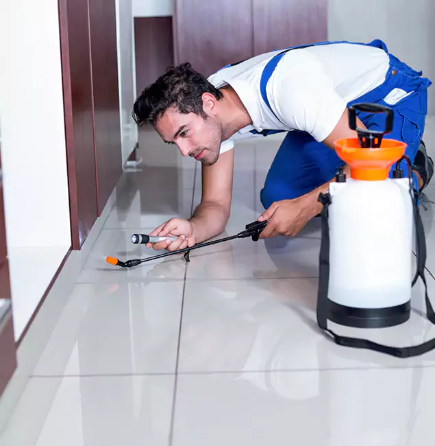 Why Kennesaw Pest Control Pro Is the Proven Choice in Kennesaw, GA?