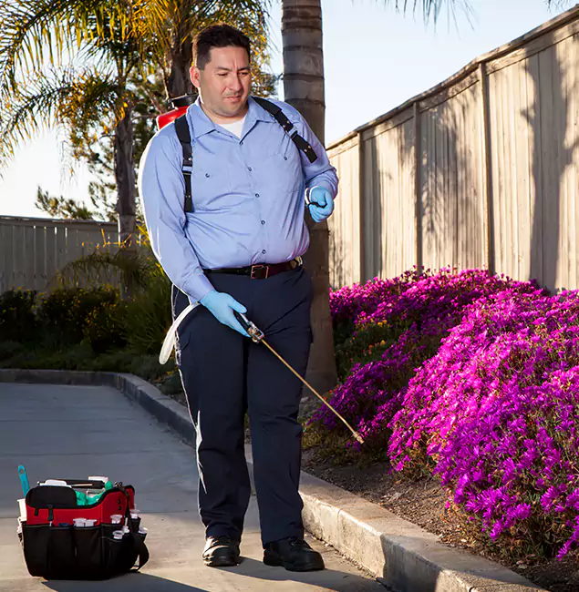 Why Choose Kennesaw Pest Control Pro in Kennesaw, GA?